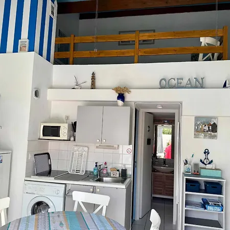 Maison Avec Piscine, Tennis Et Aire De Jeux A 950m De La De Sable Fin - - Fr-1-336-145 Сasa de vacaciones Saint-Vincent-sur-Jard
